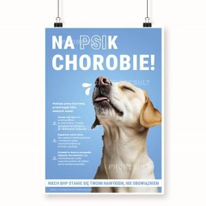 Kichający pies z jasną sierścią na niebieskim tle - Proresult